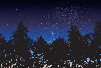 Naklejka premium ベクター背景素材_夜空_森