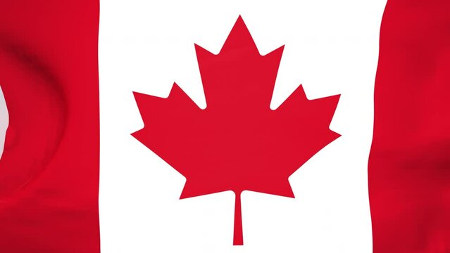 Canadian flag waving by turbulence wind on sky background.