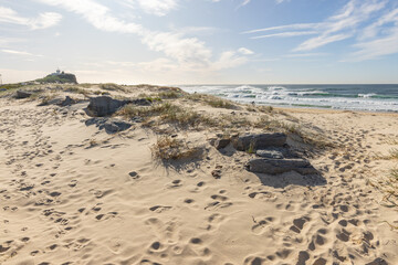 beach and sea
