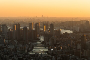 東京スカイツリー 東京 ビル街