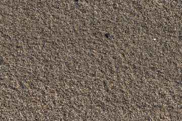 夏の砂浜の風景