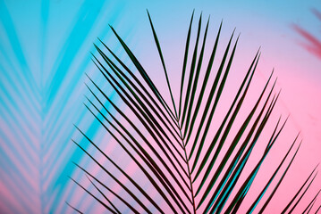 Tropical leaves in neon light with duotone shadows