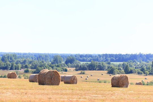hay roll landscape nature summer farming
