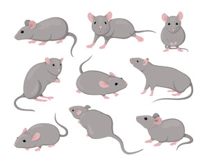 Gray mouse. Small animals. Rodents actions. Cute isolated icons set. Asian zodiac creature design drawing. Flat fur pets. Pest mammal with funny tail and nose. Vector illustration clipart