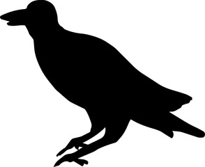 Halloween Crow Scary
