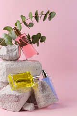 Obraz na płótnie Canvas Perfume bottles on stone with eucalyptus branch. Natural cosmetics, beauty concept. Modern still life, product photo. Aesthetic minimalist composition.