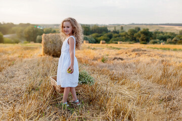 a little curly-haired girl with a basket of daisies walks through a mown field with haystacks