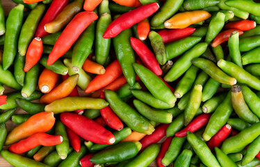 Top view colorful bird chilli background
