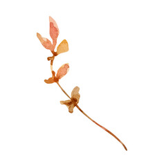 Watercolor illustration of autumn branch with leaves