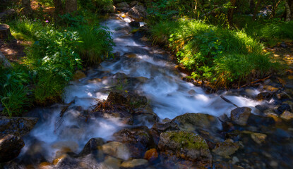 Beautiful river falling slowly down river in the Aragonese Pyrenees. Sunlight shines through the leaves.