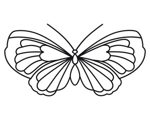 Butterfly. Vintage vector drawing. Flat outline style. Close-up. Used for stencils, coloring books, clipart, web design. 