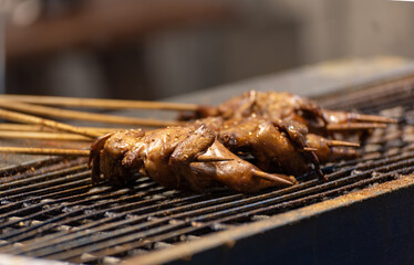 Chinese night roadside barbecue - grilled quail meat