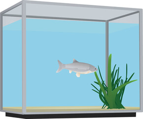 Fish in aquarium. vector illustration