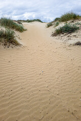 Path through dunes to sandy beach on the Sea in summer with a blue sky