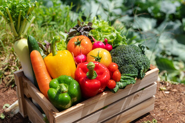 Wooden crate filled with fresh organic vegetables.