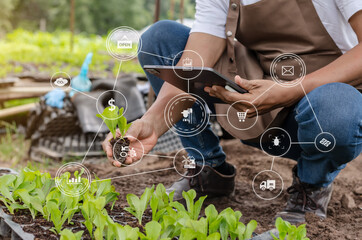 Agriculture technology farmer woman holding tablet or tablet technology to research about...