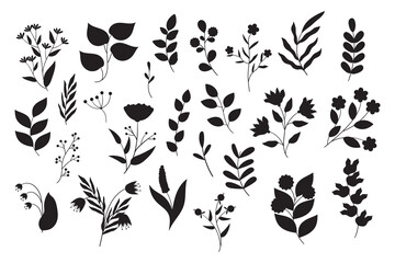 Set of black and white flowers silhouette. Doodle vector floral illustrations collection