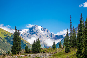 Fototapeta premium Beautiful nature of the rocky mountains of Switzerland. Snowy peaks, green landscape of nature. Coniferous trees among the rocks on a blue background