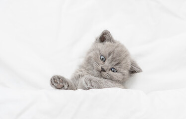 Playful kitten lying under warm wahite blanket on a bed at home. Top down view