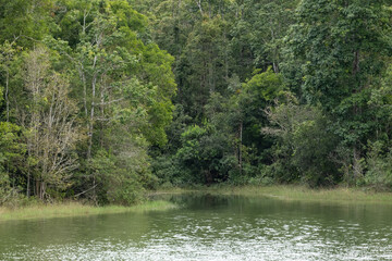 beautiful nature in the daytime, the sky is clear