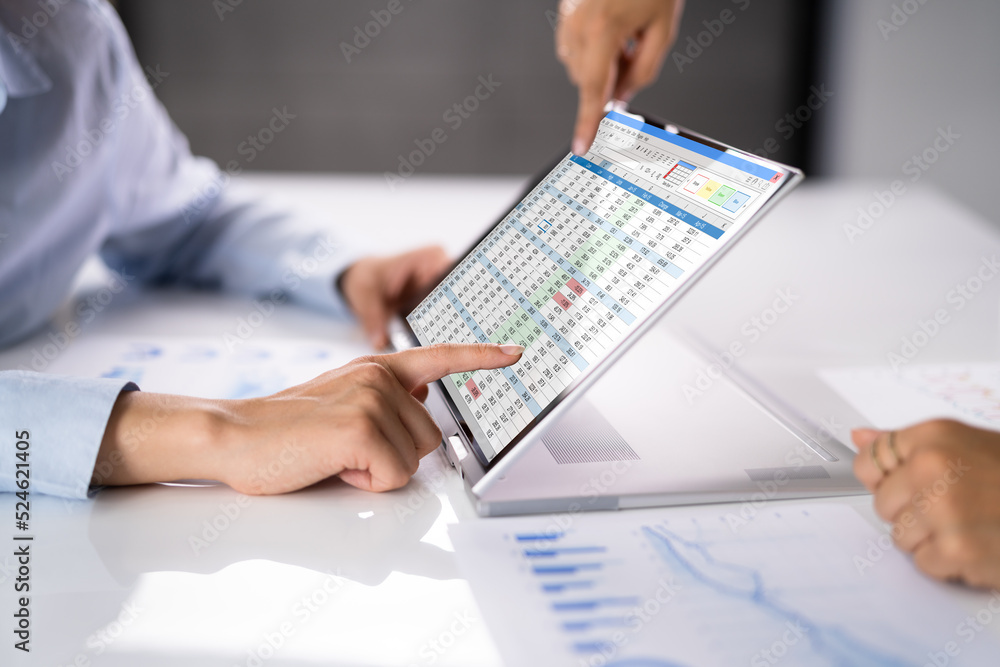 Poster Electronic Spreadsheet Analyst Or Auditor Using Software