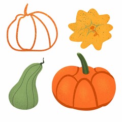 Set of pumpkins. Halloween decor. Collection of simple hand drawn elements. Flat with textures. Hand drawn. Pumpkins on a white background.