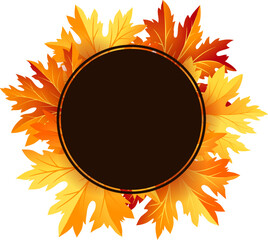 Autumn fall maple tree leaves frame