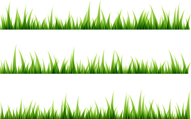 Green grass decorative elements.