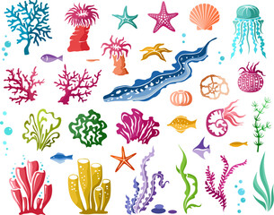 Underwater world design elements collection. Marine wildlife silhuettes set. Seaweed, corals, shells and fishes.