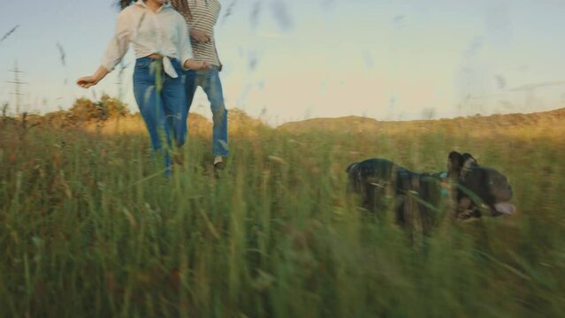 4k slow motion shot of young happy couple having fun with their french bulldog outdoors in the countryside during beautiful sunset