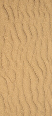 Texture of coarse yellow sand on the beach. Sand dune background