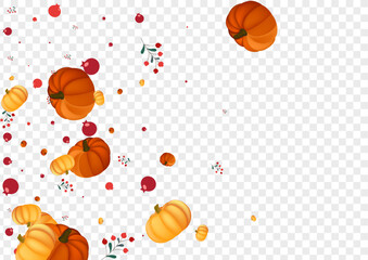 Colorful Plant Background Transparent Vector. Yellow Graphic Frame. Orange Vegetable Maple Illustration. Rowan Cute. Pattern Card.