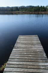 Obraz premium Steg am Weiher