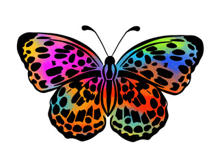 Abstract multicolored butterflies. Vector illustration