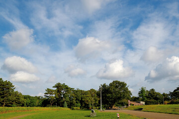 青空の中層や下層に沢山の雲が浮かんでいる公園の風景