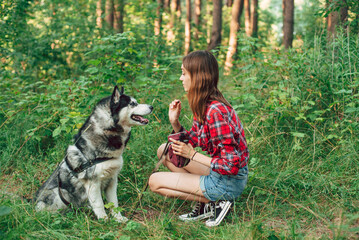 teenage girl playing and having fun with her siberian husky dog. Girl with dog in the forest