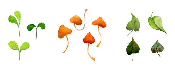 Watercolor hand drawn set of leaves, mushrooms and green sprouts, isolated on white background. Design elements for cards, gift bags, invitations, textile, print, wallpaper, for children