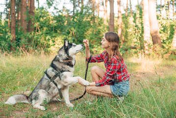 teenage girl playing and having fun with her siberian husky dog. Girl with dog in the forest