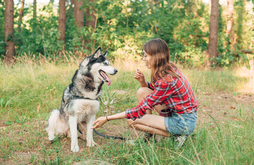 teenage girl playing and having fun with her siberian husky dog. Girl with dog in the forest