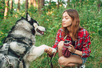 teenage girl playing and having fun with her siberian husky dog. Girl with dog in the forest