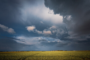 Fototapeta na wymiar impending squall with rain, impending hurricane, impending rain, approaching storm, Prairie Storm, the storm is coming, approaching storm, thunderstorm, tornado, mesocyclone, climate, Shelf cloud