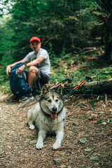 hiker male with alaskan malamute dog outdoors in the mountains. Travel with pets concept
