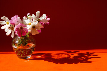 Still life with flowers on an orange background. Flowers in a glass vase. Bright light and shadow. Art composition. 