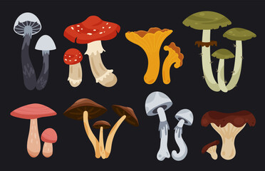 Set of colorful mushrooms. Flat illustration. Fly agaric, chanterelle, russula and other.
