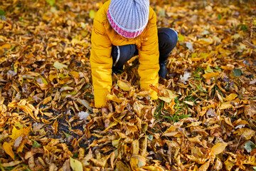 Obraz premium Happy adorable child girl laughing and playing yellow fallen leaves