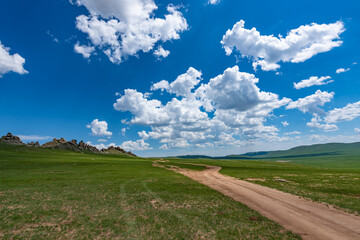 road in the field