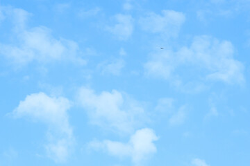 Blue sky background and white clouds soft focus, pastel sky. A bird of prey in the sky