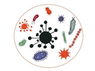Microbiote, microbes bact&eacute;ries champignons