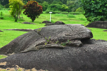 Tent camping in the midst of nature. © Diamon jewelry