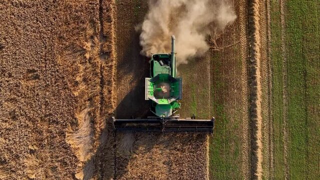 4к 50John Deere combine harvester on grain harvest. Wheat harwesting in field. Wheat planting. Wheat and corn markets in crisis world&rsquo;s breadbasket. Kazakhstan Alma-Ata, Aug 12, 2022.
